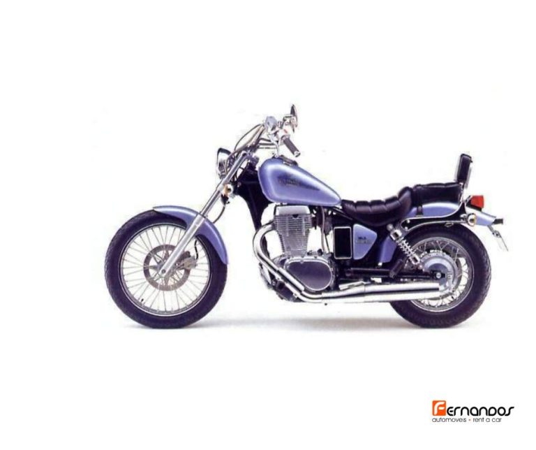 Suzuki LS650P